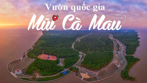 khám phá vườn quốc gia mũi Cà Mau 