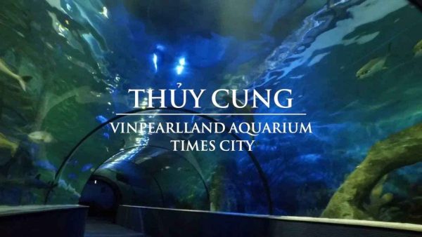 Ngắm nhìn thế giới đại dương bao la ngay tại thủy Cung Time City Hà Nội 