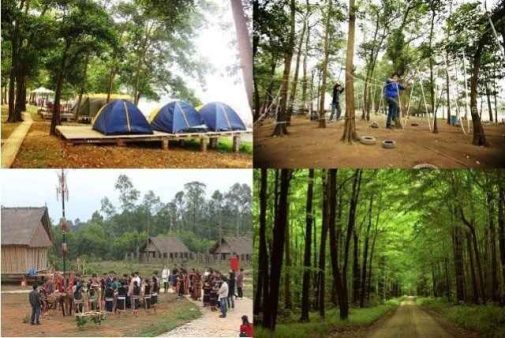 Vui chơi cắm trại tai Sơn Tinh Camp