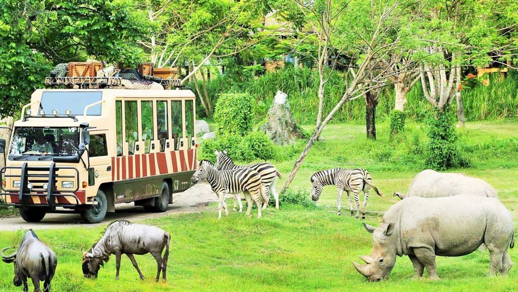 Xe đưa khách đi tham quan Zoo Safari Park