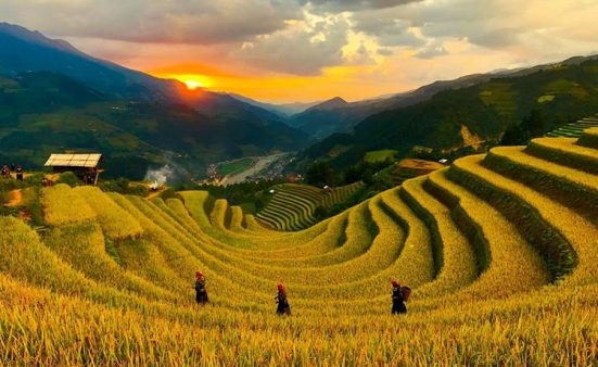 Check in Đồi Móng Ngựa tuyệt đẹp