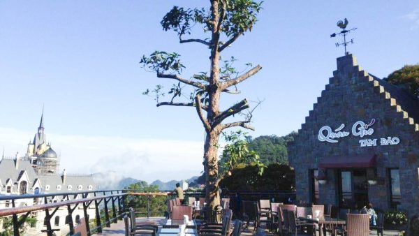 View săn mây tại Gió Tam Đảo