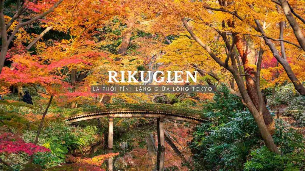 Vườn Rikugien - lá phổi tĩnh lặng giữa lòng Tokyo 
