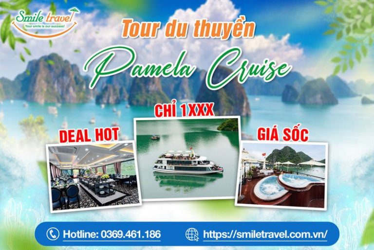 Tour du thuyền Pamela Cruise 1 ngày tham quan Vịnh Hạ Long