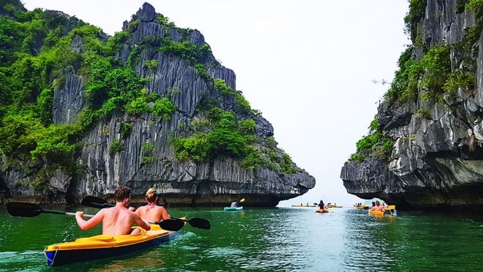 Chèo kayak trên Vịnh Lan Hạ