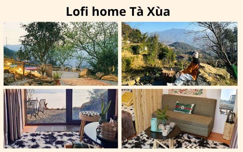 Lofi home ở Tà Xùa giá rẻ