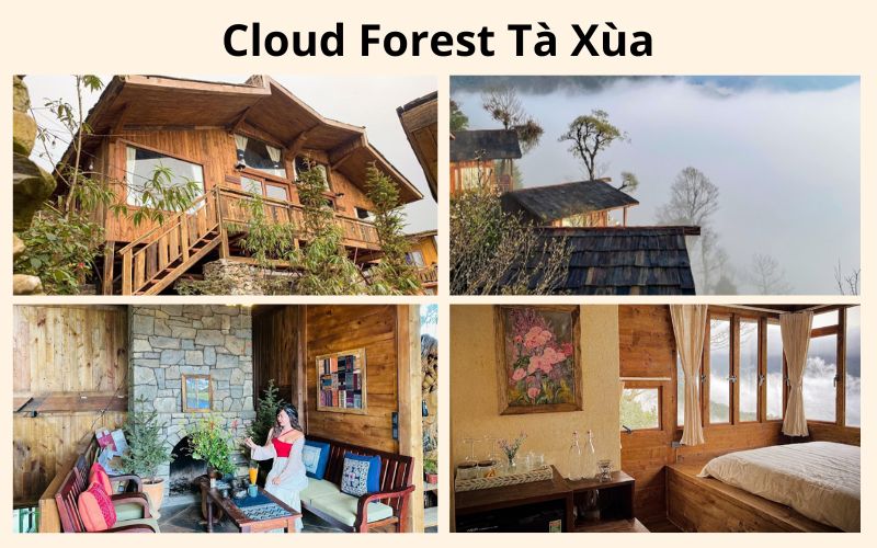 Cloud Forest - homestay Tà Xùa có view cực đẹp