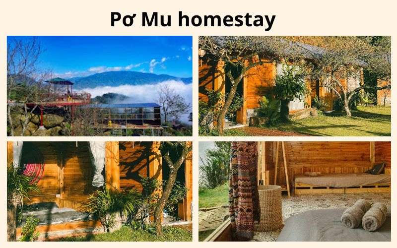 Pơ Mu homestay điểm dừng chân hoàn hảo cho du khách khi đến du lịch Tà Xùa