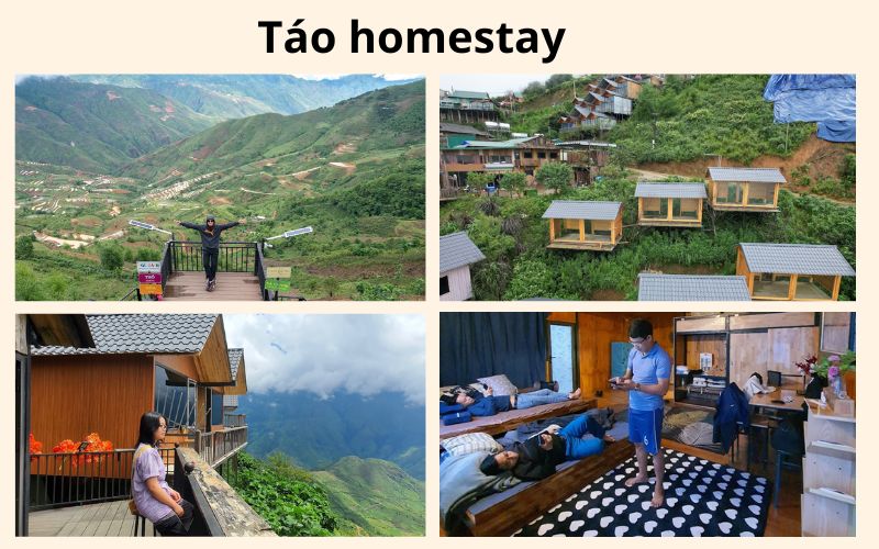 Táo homestay đẹp Tà Xùa