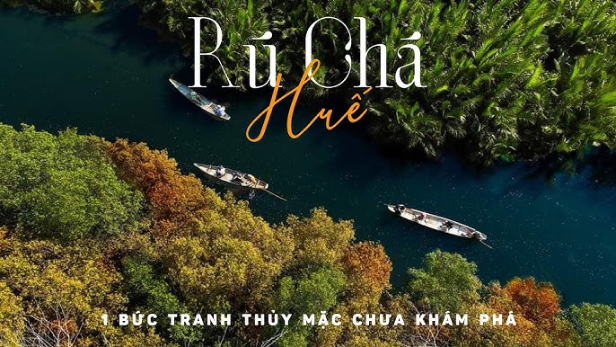 Tham quan rừng ngập mặn Rú Chá 