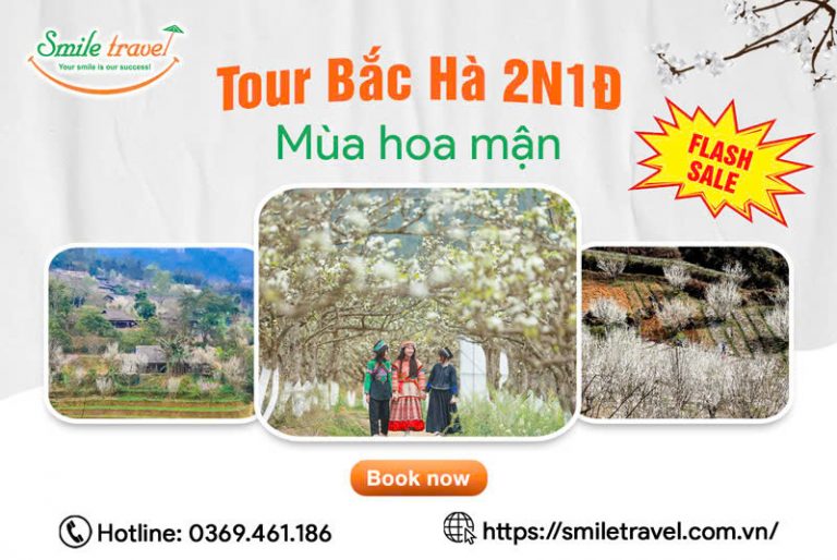Tour Bắc Hà 2 ngày 1 đêm mùa hoa mận