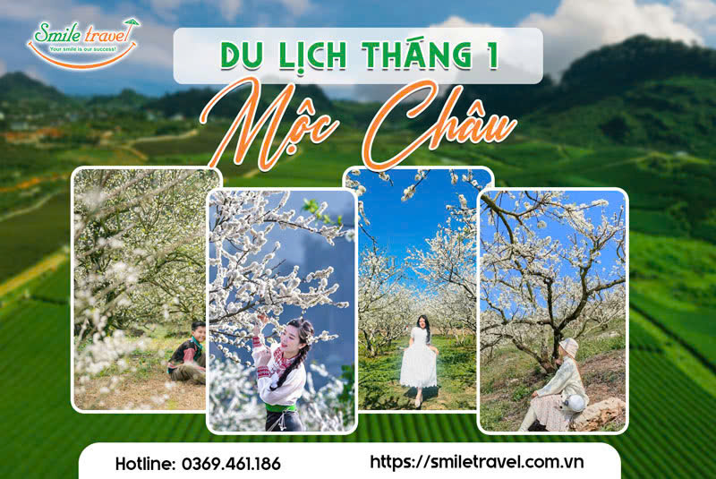 Kinh nghiệm Du lịch Mộc Châu Tháng 1 - trải nghiệm tour trọn gói cực hấp dẫn
