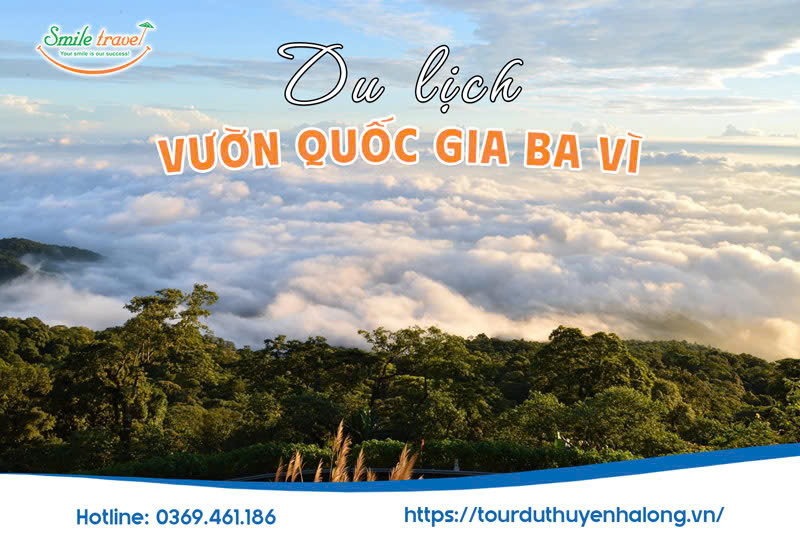 Kinh Nghiệm Du Lịch Vườn Quốc Gia Ba Vì Hà Nội
