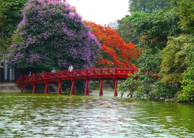 Khung cảnh cầu Thê Húc rực rỡ mùa hoa