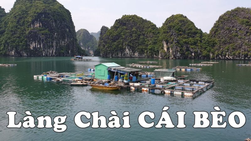 Khung cảnh làng chài Cái Bèo yên bình giữa thiên nhiên hùng vĩ