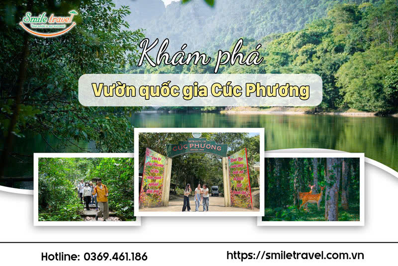 Kinh Nghiệm Du Lịch Vườn Quốc Gia Cúc Phương Mới Nhất