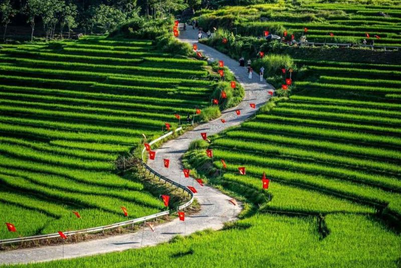 Check in cung đường lúa siêu hot