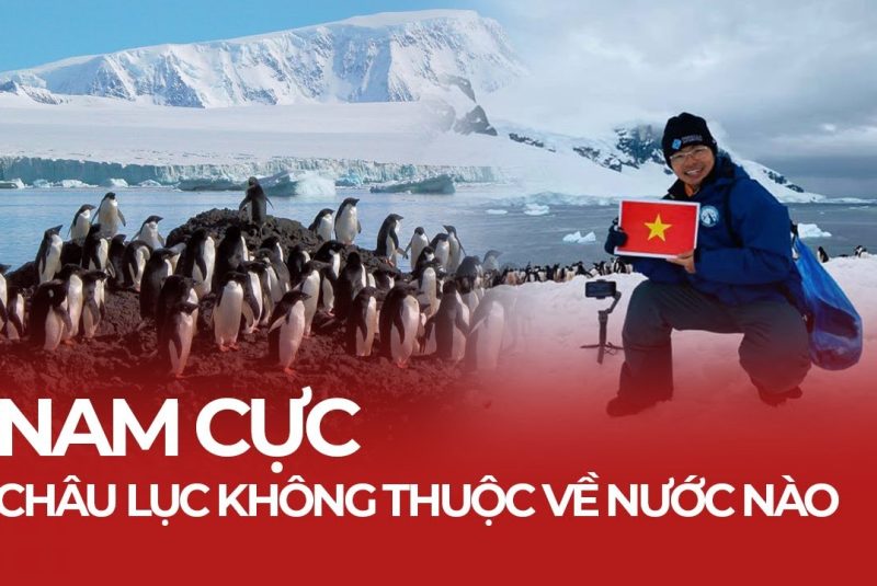 Ngắm chim cánh cụt 