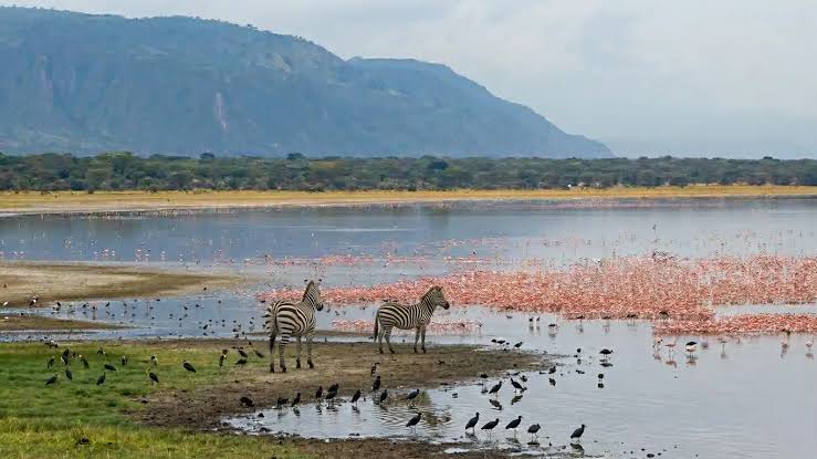 Lake Manyara National Park