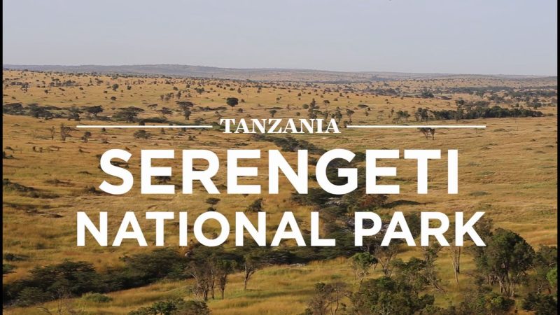 Tarangire National Park