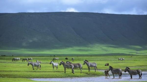 Khu bảo tồn Ngorongoro
