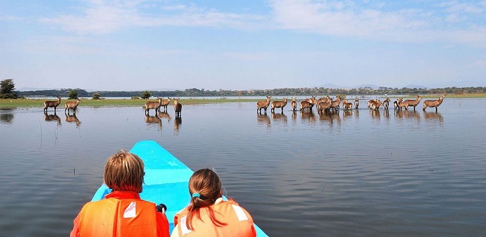 Khám phá khu vực Hồ Naivasha