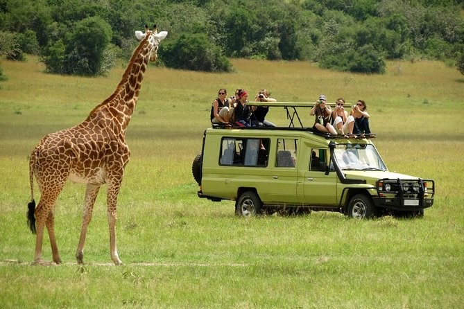 tour du lịch Kenya Safari – Zimbabwe 11 ngày 10 đêm