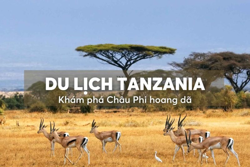 Tour du lịch Tanzania 12 ngày 11 đêm khám phá Châu Phi hoang dã